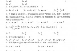 阳明中学2021学年第二学期七年级期中检查数学试卷