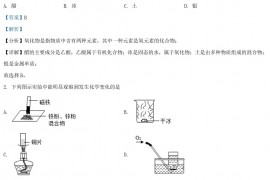 2021年陕西商洛中考化学真题及答案