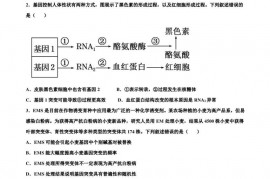 2023届河北省衡水中学泰华中学高三决胜新高考必刷密卷(10)生物