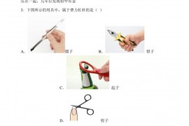 2022年江苏省苏州中学中考物理模拟试题