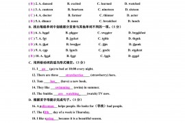 2013年石家庄创新国际学校小升初入学考试试卷英语