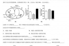 上海中学2022学年第二学期期中考试高二生物试卷