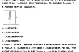 2023届浙江省台州市温岭市书生中学高考考前信息卷高考物理试题