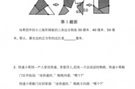 2020 年“数学花园探秘”科普活动小学三年级总决赛试题真题和答案