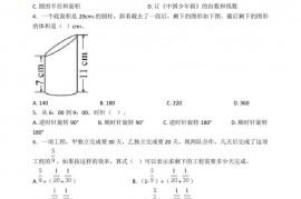 2020-2021深圳市盐田区外国语学校小学数学小升初一模试卷(含答案)