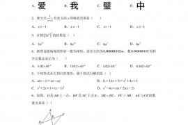 湖北省黄陂区武汉市盘龙二中2022-2023学年八年级上学期期末数学试卷