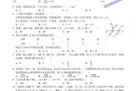 红岭中学教育集团园岭部八年级寒假线上练习