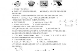 2021-2022学年度毕节市金沙县第一中学第一次月考检测卷化学