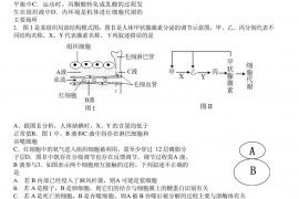 江苏省南菁高级中学2020-2021学年第一学期高二12月份阶段性考试生物试卷