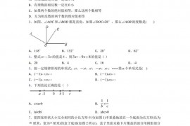 2020-2021成都嘉祥外国语学校郫县分校七年级数学上期末模拟试题及答案