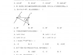 广东省深圳市福田区福田区红岭中学（红岭教育集团）2020-2021学年七年级下学期期中数学试题