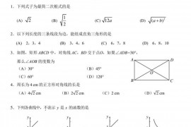 北京中学教育集团2021～2022学年第二学期期中学情调研八年级数学试卷