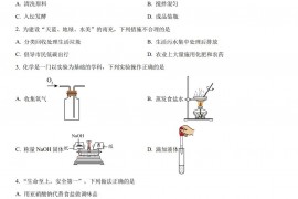 2023年四川省南充市中考化学真题