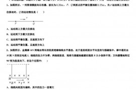 2022-2023学年青海省海东市二中招生全国统一考试仿真卷（九）-高考物理试题仿真试题