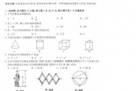 2020年甘肃定西中考数学真题及答案