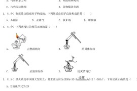 2020年吉林长春中考化学真题及答案