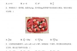 2022年江苏省南京市金陵中学教育集团中考数学一模试卷