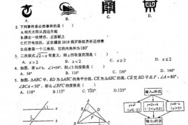 重庆市巴蜀中学2017-2018学年度第二学期期末考试初2020届（一下）数学试题卷