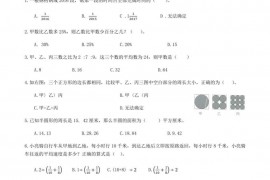 绵阳东辰国际学校招生入学数学真卷（十二）