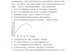 湖北省武汉市第二中学2022届高三五月全仿真模拟考试（一）