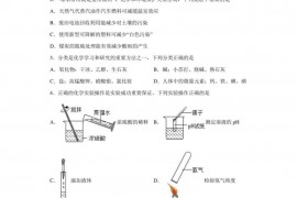 2023年四川省南充市高级中学中考二模化学试题