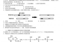 2020-2021学年浙江省瑞安中学高二上学期期末考试生物试题