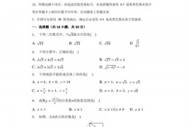 广东省广州大学附中2021-2022学年八年级（下）期中数学试卷