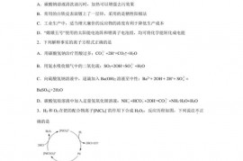 2022-2023学年湖南省衡阳市第八中学高二上学期期末考试化学