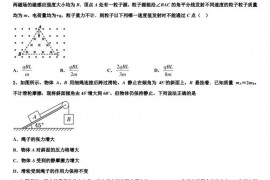 2022-2023学年山东省烟台市莱州市一中高三下物理试题强化训练