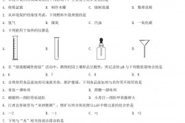 2022年江西赣州中考化学试卷及答案