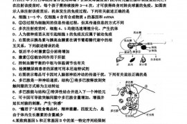 瑞安中学2011学年第二学期高三5月份考试理综试卷