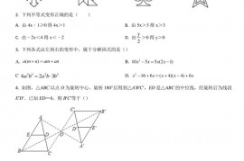 2020－2021学年广东省深圳中学共同体联考八年级（下）期中数学试卷