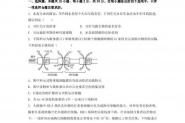 沈阳二中2022—2023学年度上学期期末考试高三（23届）生物试题