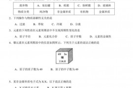 格致中学2020学年度第一学期期中考试高三年级化学（等级考）